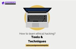 ethical-hacking-process-white-hat-hacking-coding-assignment-help-programming-assignment-help